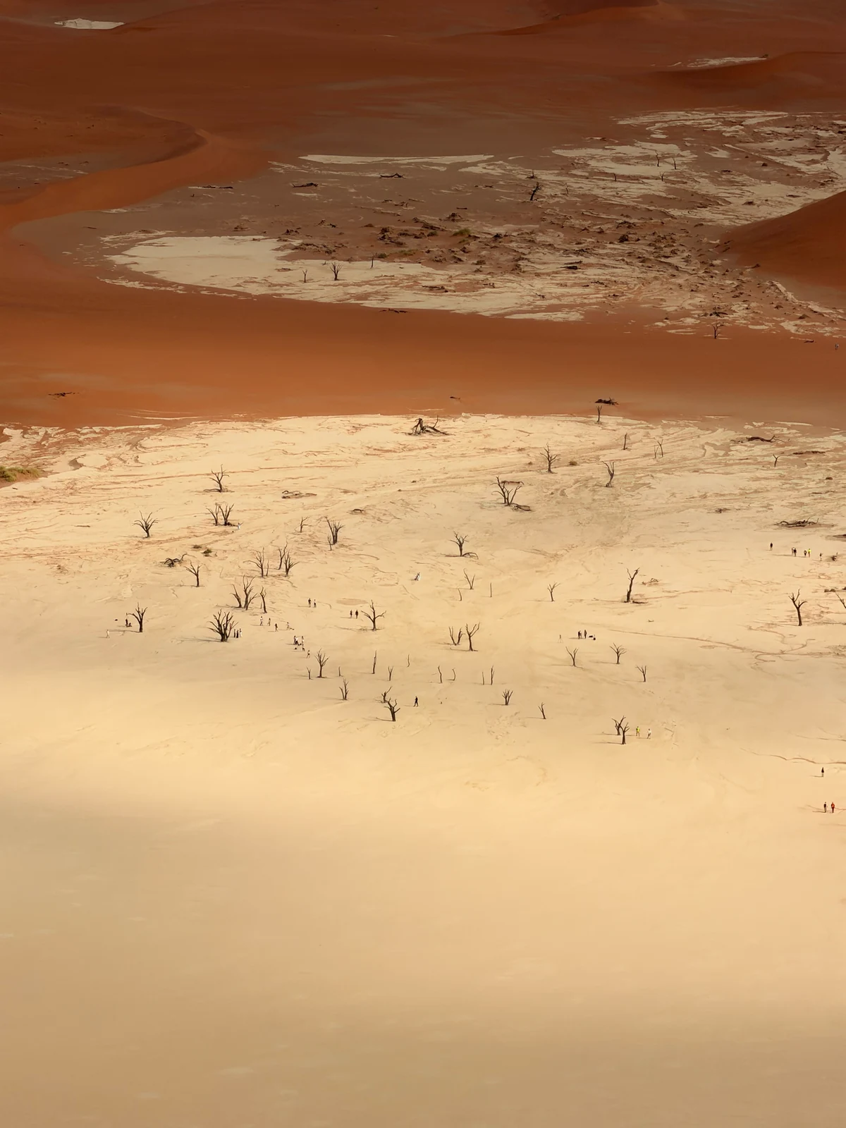 Мёртвые деревья Deadvlei среди дюн Намибии